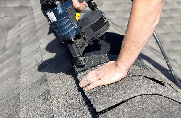 Best Asphalt Shingles Roofing  in Goulds, FL
